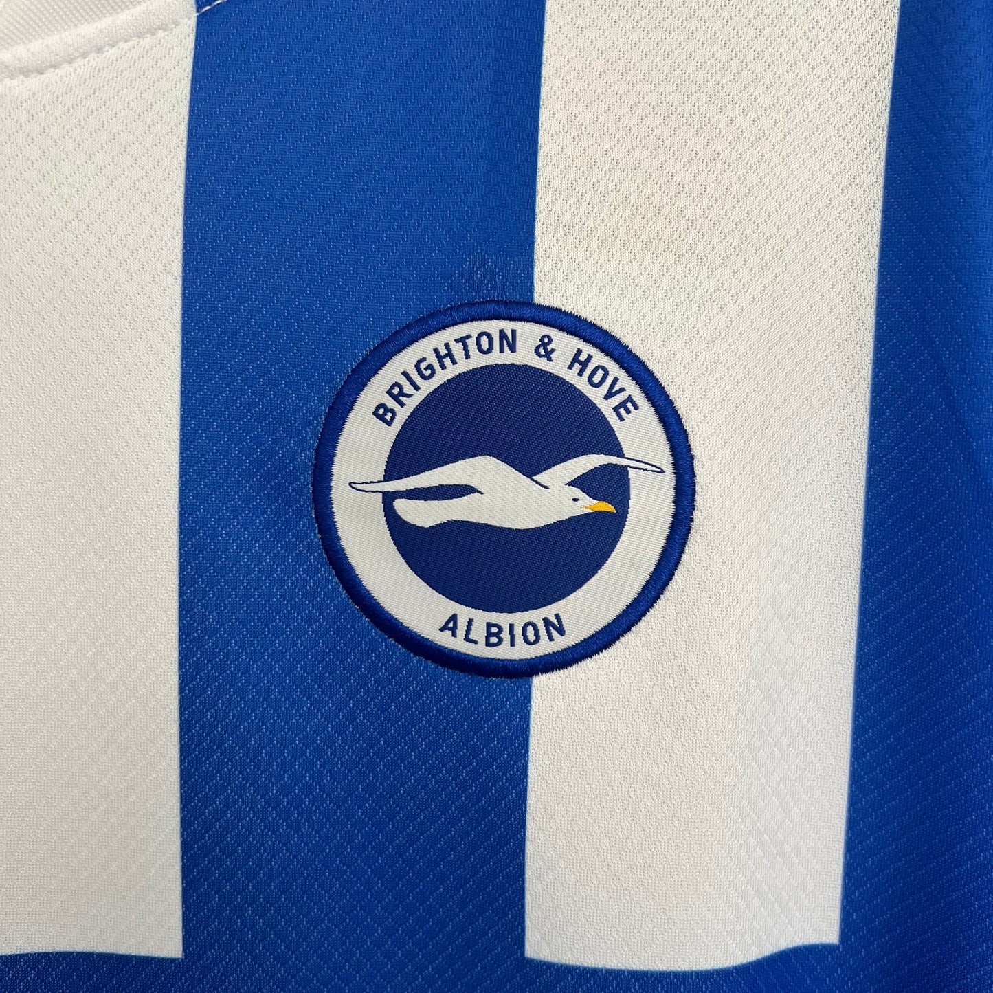 Brighton Domicile 25/26