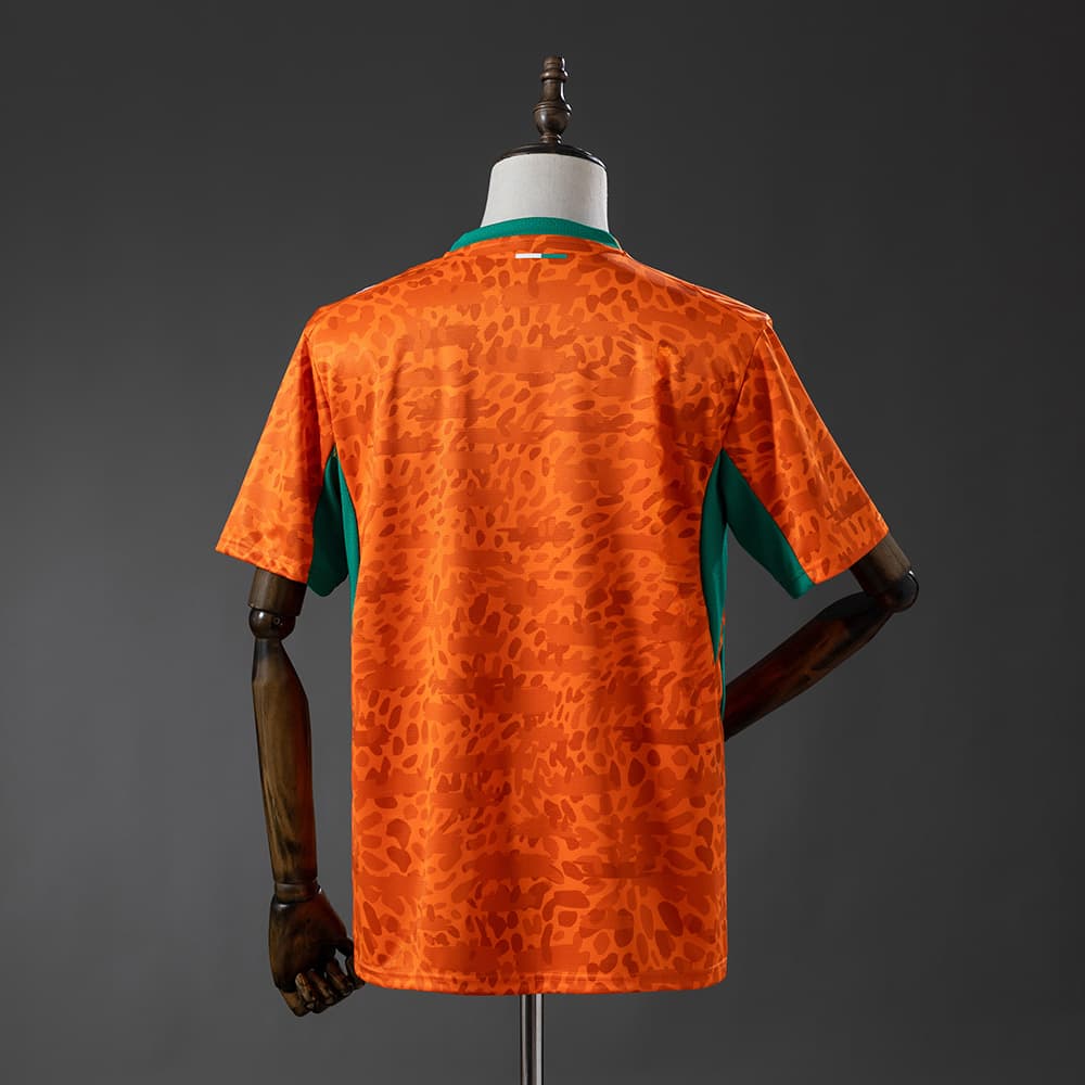 Côté d'Ivoire Domicile Coupe du Monde 2026