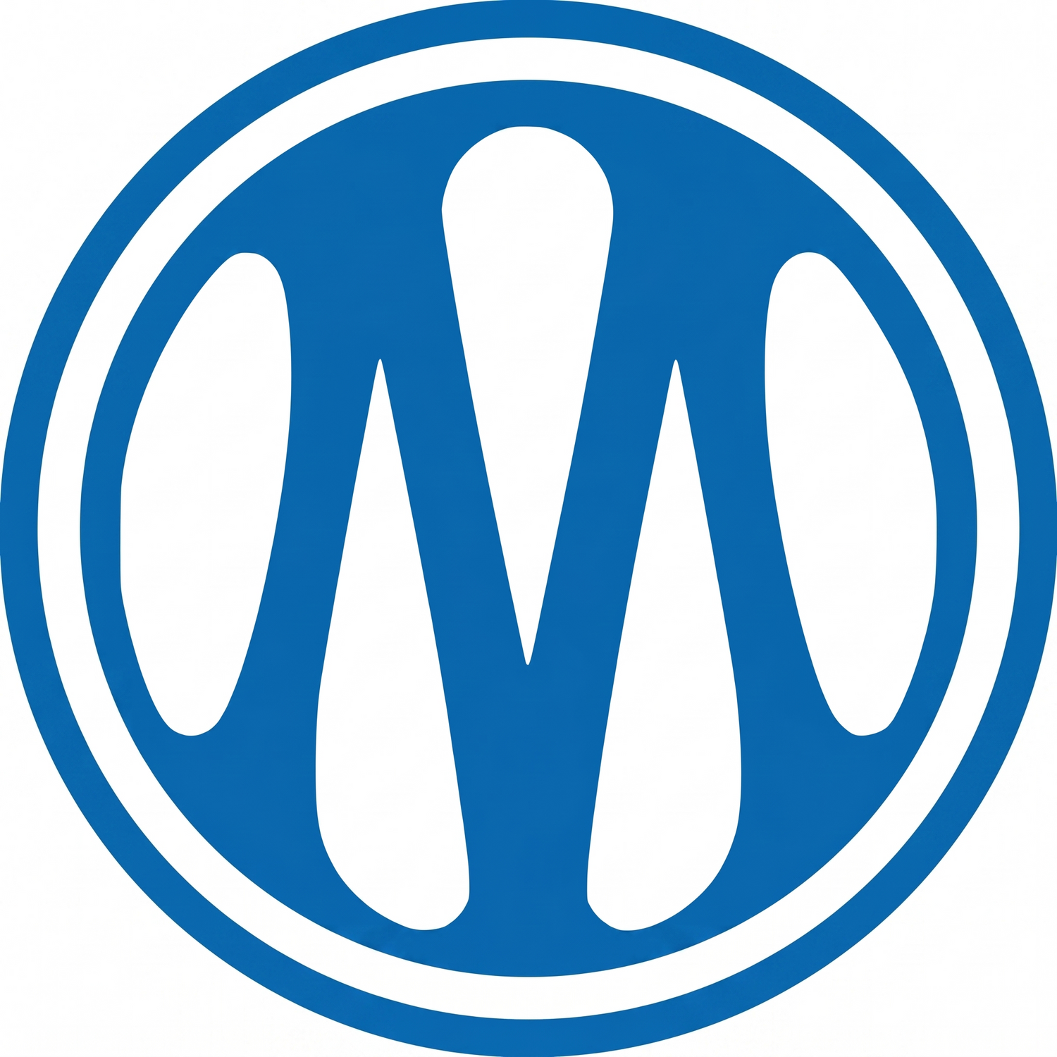 Olympique de Marseille