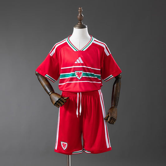 Kit Enfant Pays de Galles Domicile Coupe du Monde 2026
