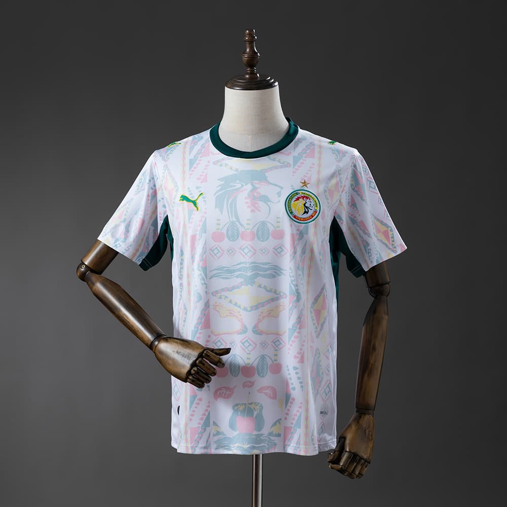 Sénégal Domicile Coupe du Monde 2026