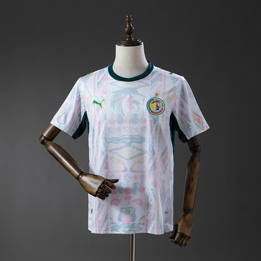 Sénégal Domicile Coupe du Monde 2026