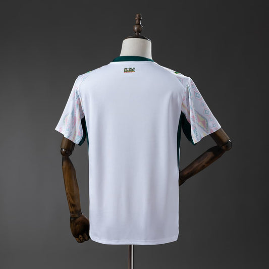 Sénégal Domicile Coupe du Monde 2026